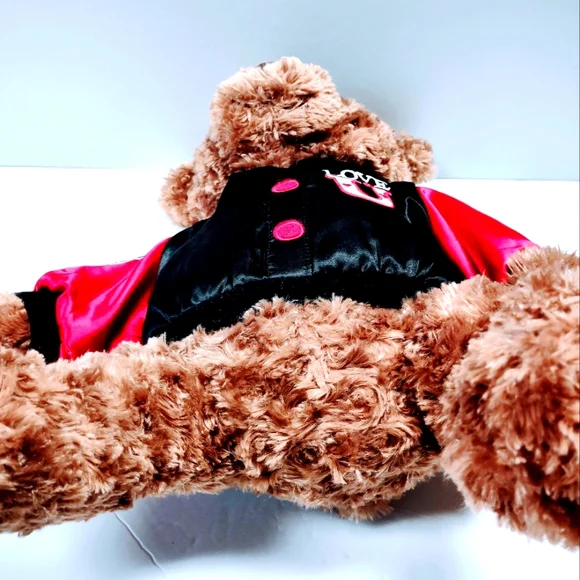 EUC Dan Dee Collector's Plush 17 " Brown Teddy Bear with Love U on the jacket - Picture 11 of 14